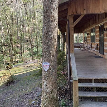 Little Mountain Hideaway Cabin พิเจนฟอร์จ ภายนอก รูปภาพ