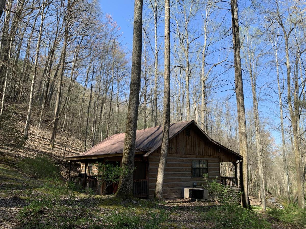 Little Mountain Hideaway Cabin พิเจนฟอร์จ ภายนอก รูปภาพ